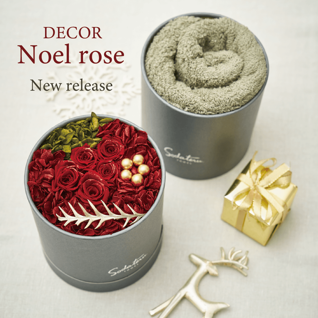 クリスマス限定DECOR 