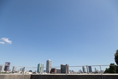 育てるタオル イメージ
