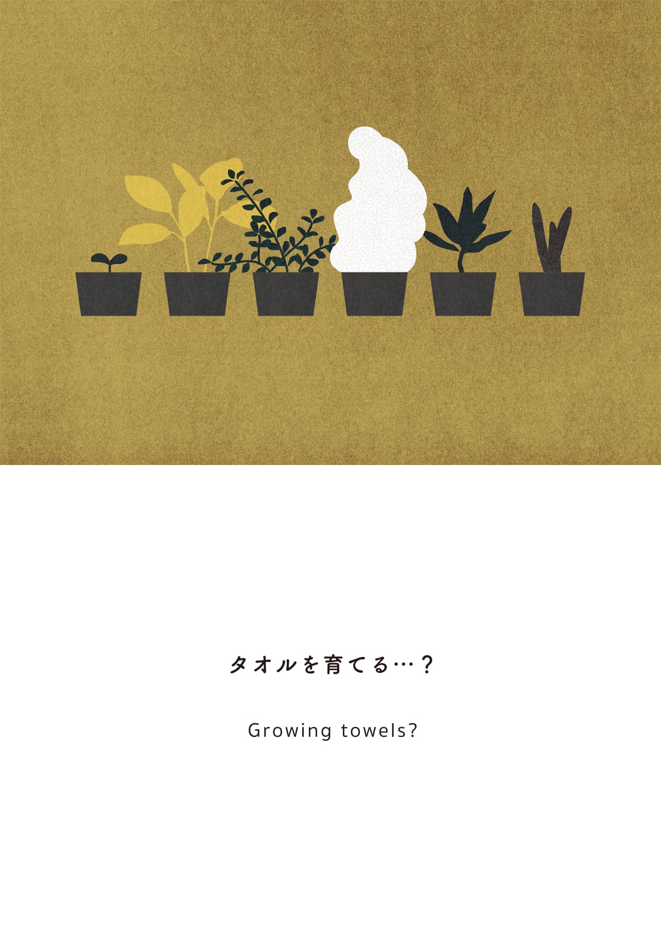 タオルを育てる…？