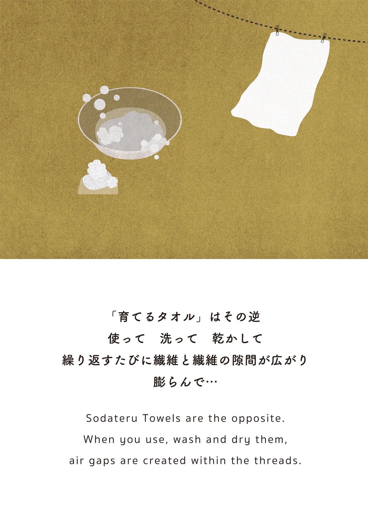 「育てるタオル」はその逆 使って 洗って 乾かして 繰り返すたびに繊維と繊維の隙間が広がり 膨らんで・・・