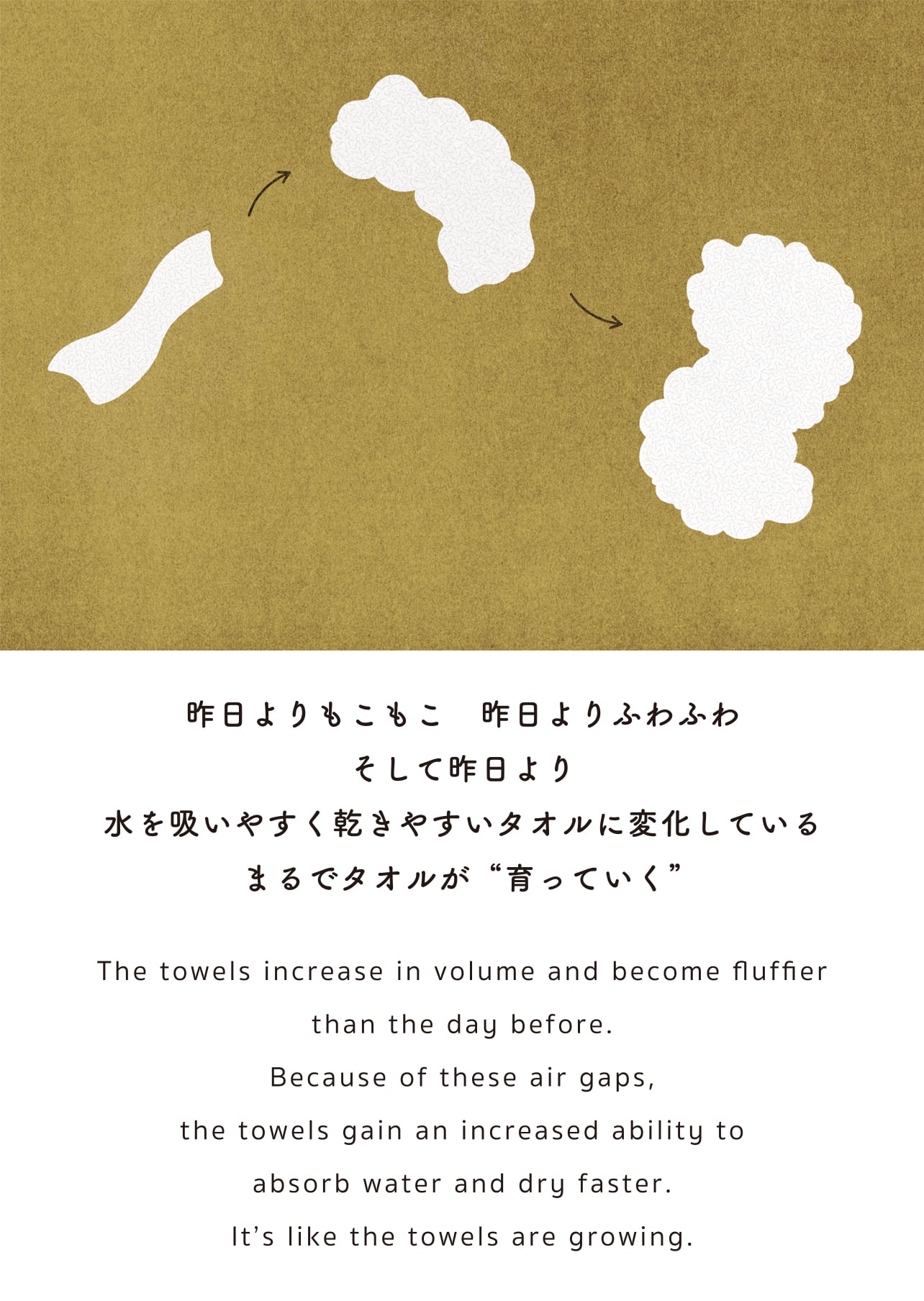 昨日よりもこもこ 昨日よりふわふわ そして昨日より 水を吸いやすく乾きやすいタオルに変化している まるでタオルが”育っていく”