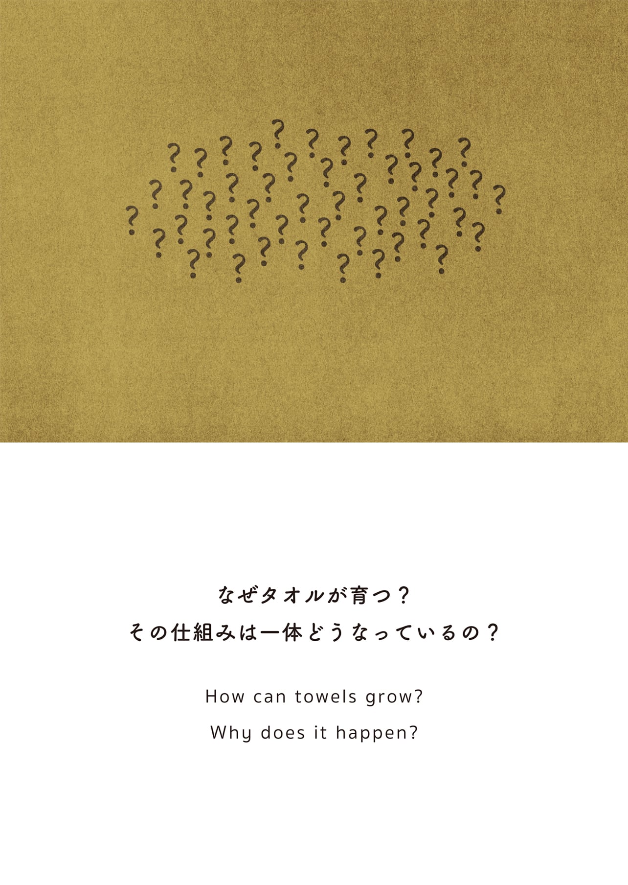 なぜタオルが育つ？その仕組みは一体どうなっているの？