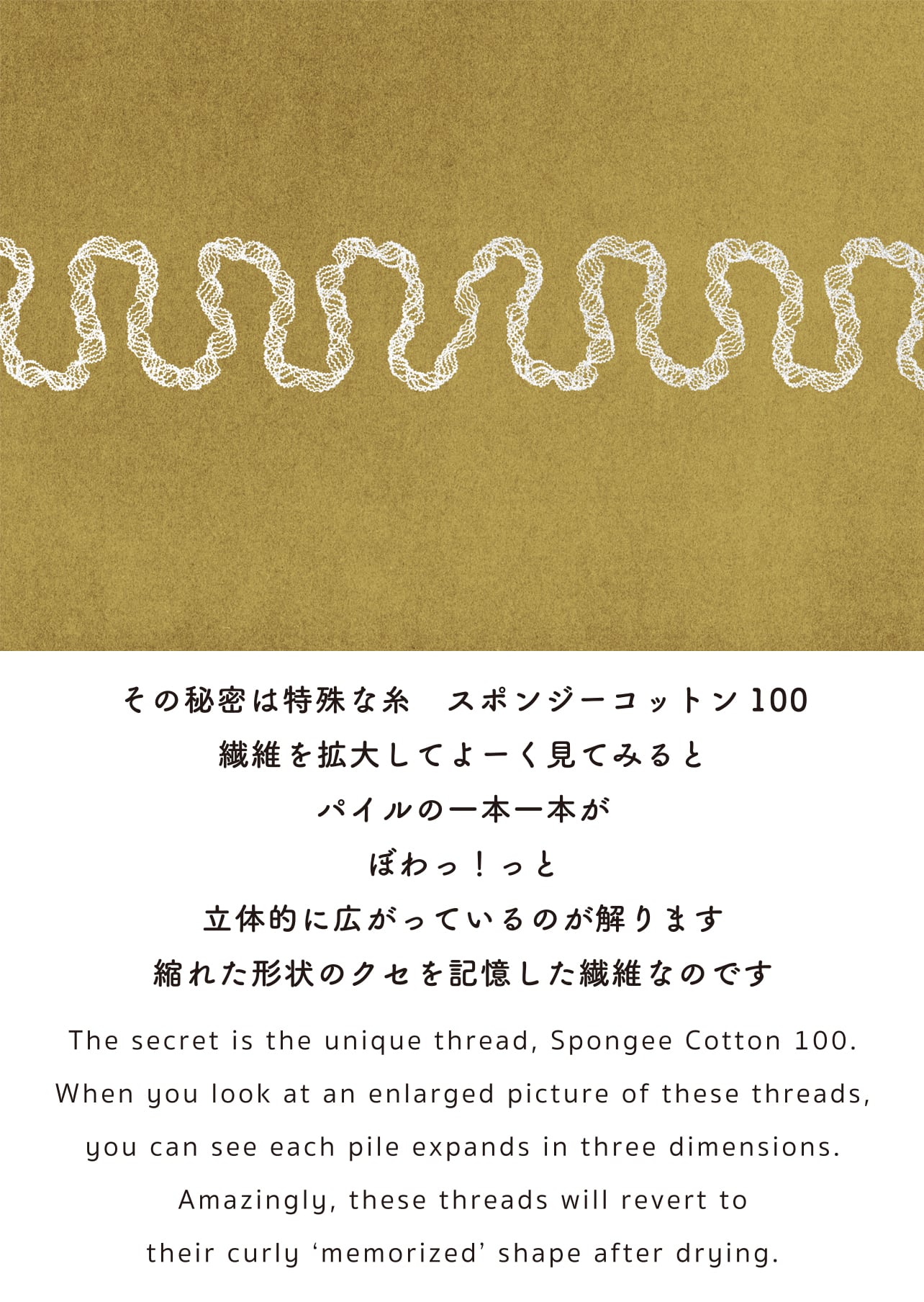 その秘密は特殊な糸 スポンジーコットン100 繊維を拡大してよーく見ると パイルの一本一本が ぼわっ！っと 立体的に広がっているのが解ります 縮れた形状のクセを記憶した繊維なのです