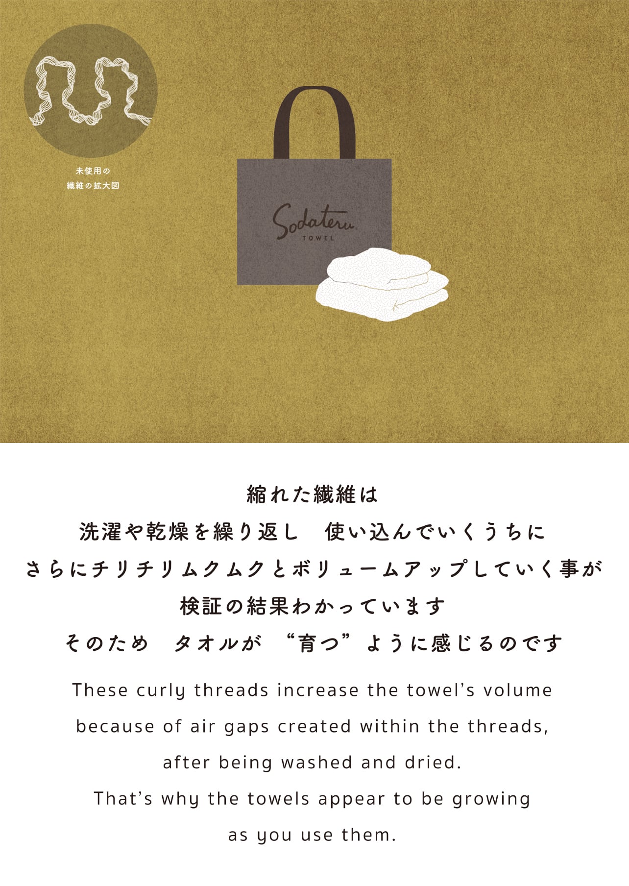 縮れた繊維は 洗濯や乾燥を繰り返し 使い込んでいくうちに さらにチリチリムクムクとボリュームアップしていく事が 検証の結果わかっています そのため タオルが”育つ”様に感じるのです