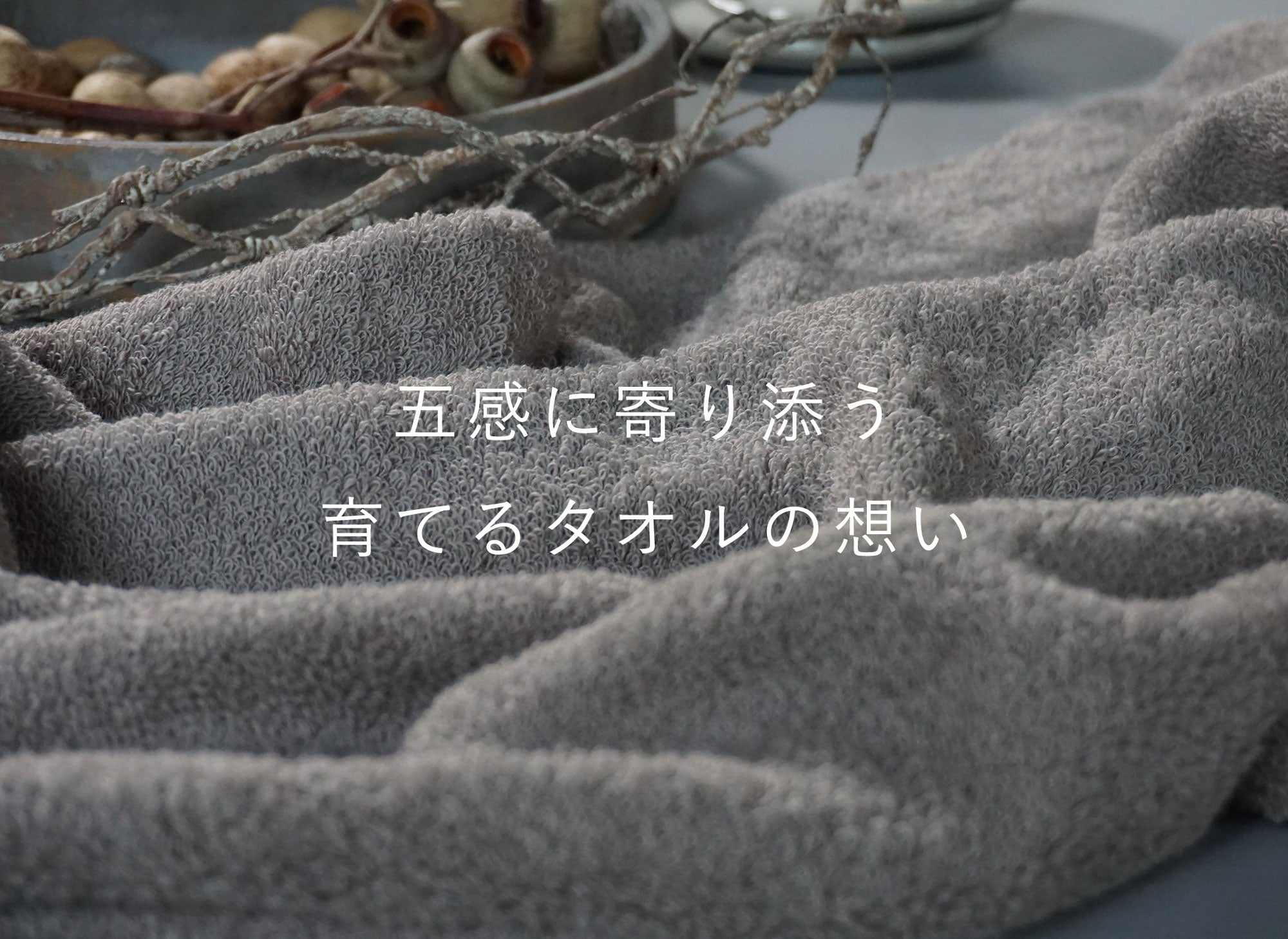 gokan_top