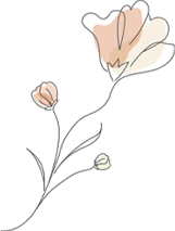 illust