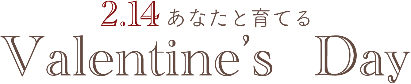 vt26_top